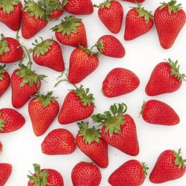 Jak często zmieniać doniczki poziomek